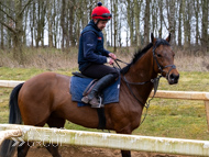 BP210325-38 - Squire Danagher